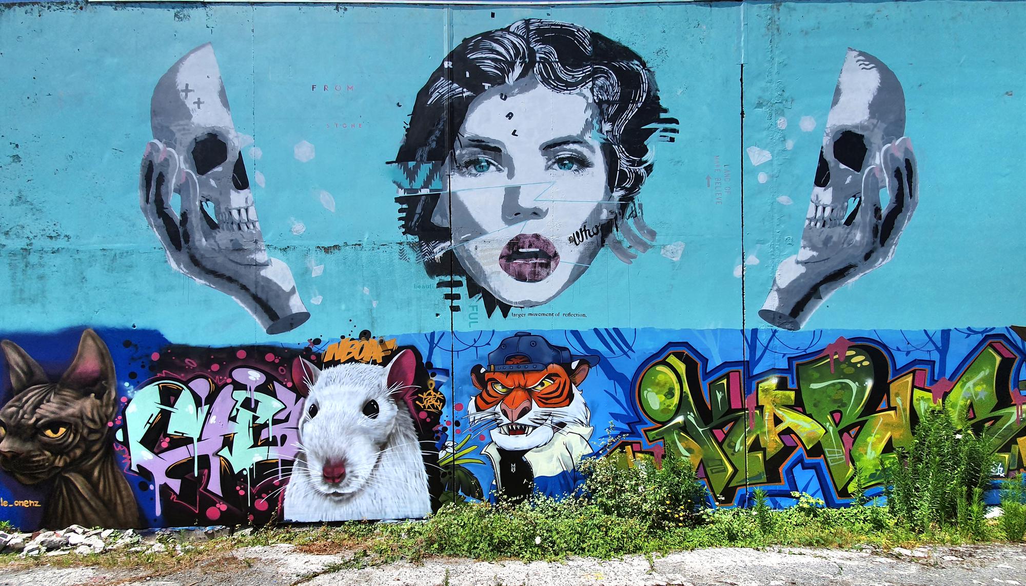 Joel Hart taken by Bernard Spragg (Chirstchurch NZ)